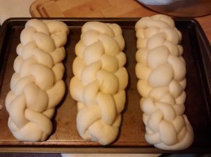 IMG_20151010_163724171